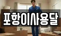 포항이사용달