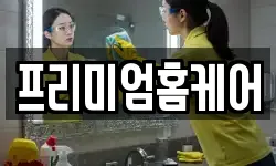 프리미엄홈케어