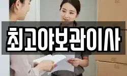 최고야보관이사