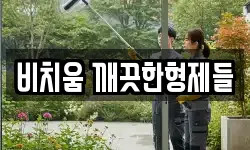비치움 깨끗한형제들
