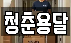 청춘용달