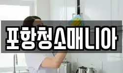 포항청소매니아