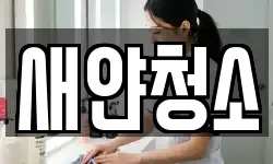 새얀청소