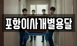 포항이사개별용달