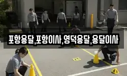 포항용달,포항이사,영덕용달,용달이사