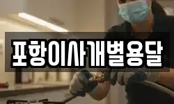 포항이사개별용달