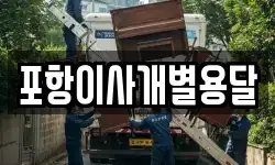 포항이사개별용달