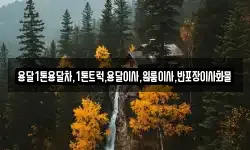 용달1톤용달차,1톤트럭,용달이사,원룸이사,반포장이사화물