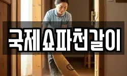 국제쇼파천갈이