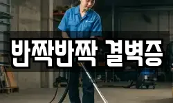 반짝반짝 결벽증