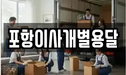 포항이사개별용달