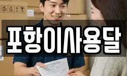 포항이사용달