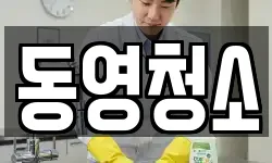 동영청소
