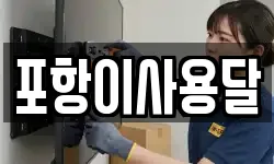 포항이사용달