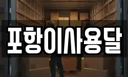포항이사용달