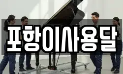 포항이사용달