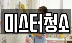 미스터청소