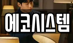 에코시스템