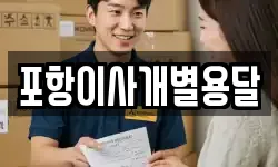 포항이사개별용달