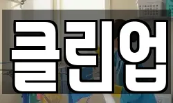 클린업