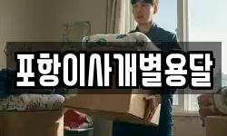 포항이사개별용달
