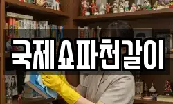 국제쇼파천갈이