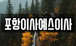 포항이사예스이사