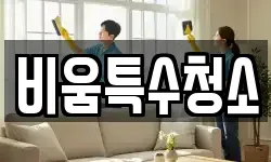 비움특수청소