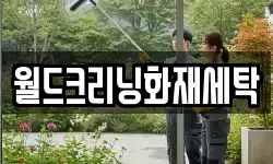 월드크리닝화재세탁