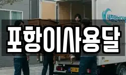 포항이사용달