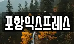 포항익스프레스