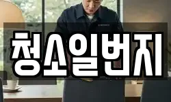 청소일번지