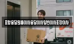 포항용달원룸이사용달이사일반이사포장이사