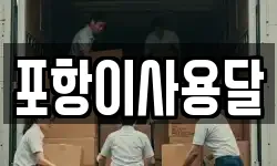 포항이사용달