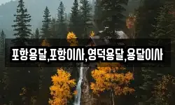 포항용달,포항이사,영덕용달,용달이사