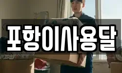 포항이사용달