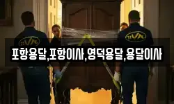 포항용달,포항이사,영덕용달,용달이사