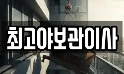 최고야보관이사