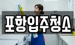포항입주청소