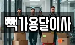 빽가용달이사