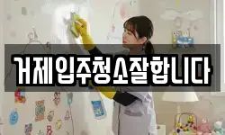 거제입주청소잘합니다
