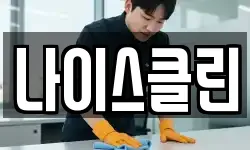 나이스클린