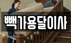 빽가용달이사