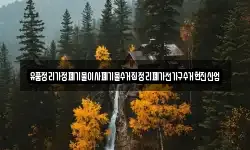 유품정리가정폐기물이사폐기물수거집정리폐가전가구수거현진산업