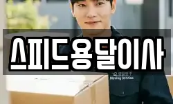 경상남도 거제시 덕포동 이사,용달이사,포장이사,원룸이사,보관이사