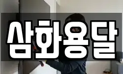 삼화용달