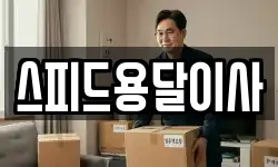스피드용달이사