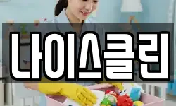 나이스클린