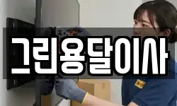 그린용달이사