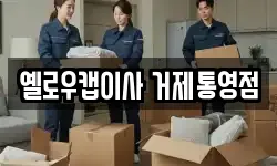 경상남도 거제시 수월동 이사,용달이사,포장이사,원룸이사,보관이사